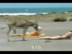 Küçük bir paket, eski turk pornocular çok eğlenceli